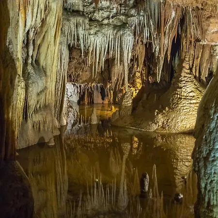 Lejlighed In - Istrien 9872 *